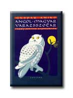 Gáspár Anikó - Angol-magyar varázsszótár Harry Potter rajongóknak